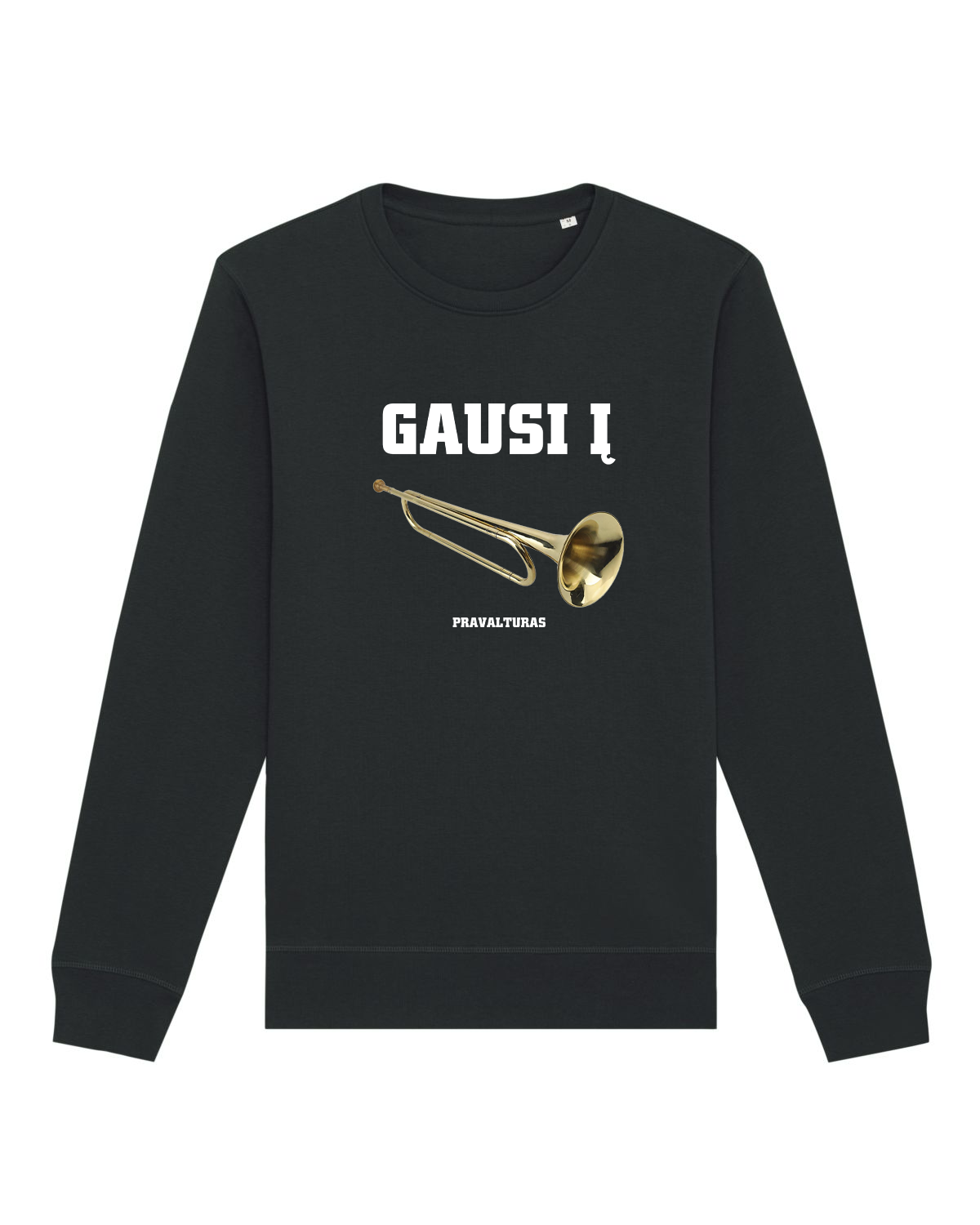 Džemperis GAUSI Į DŪDĄ