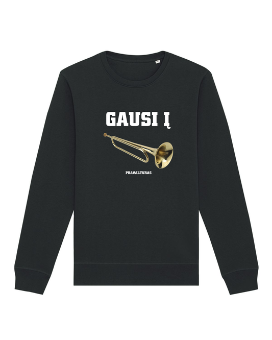 Džemperis GAUSI Į DŪDĄ