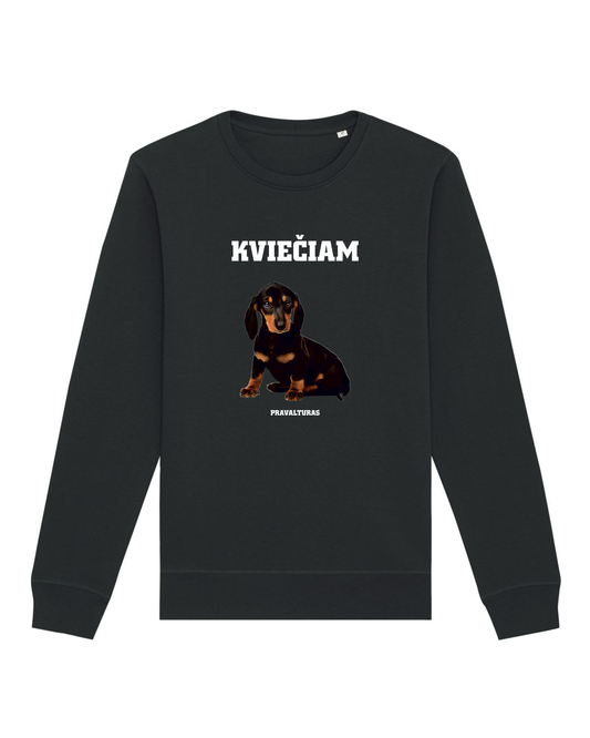 Džemperis KVIEČIAM TAKSĄ